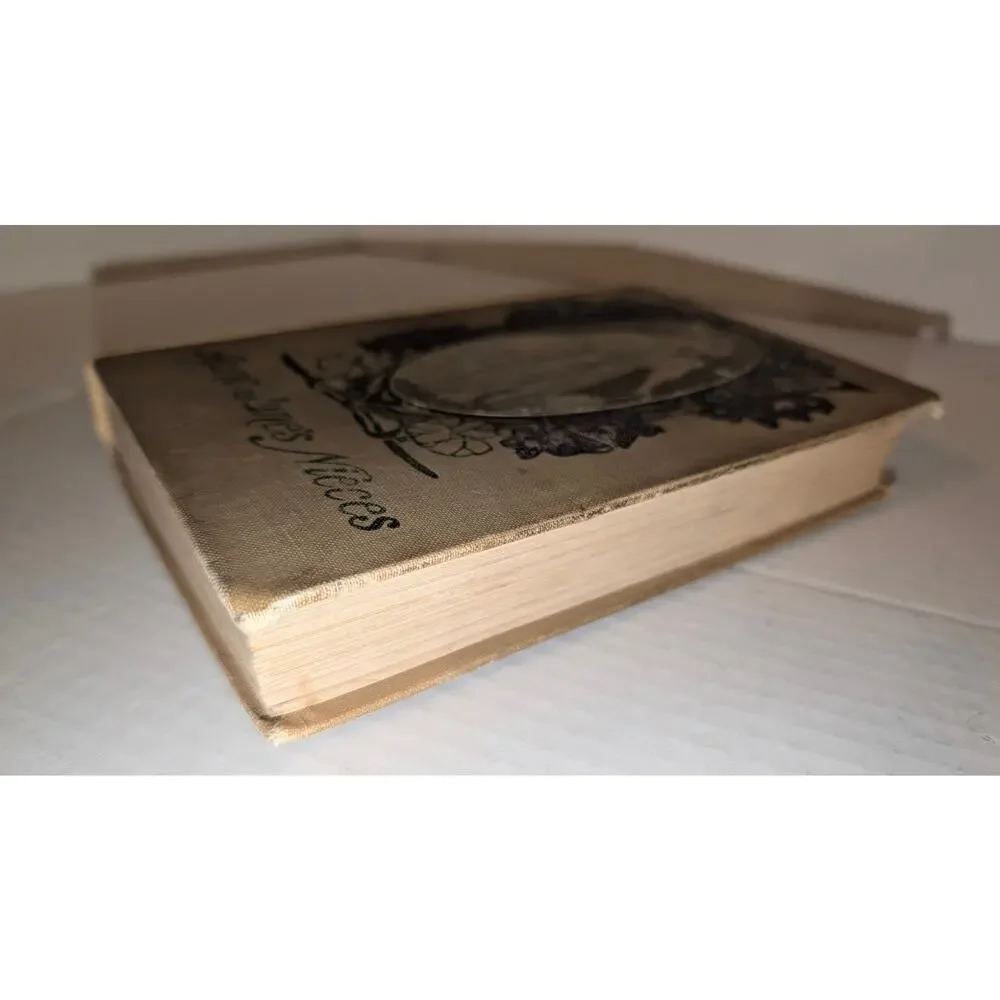 1906 Aunt Jane's Nieces 1st Edition Reilly & Britton Rare Collectible HC Book
